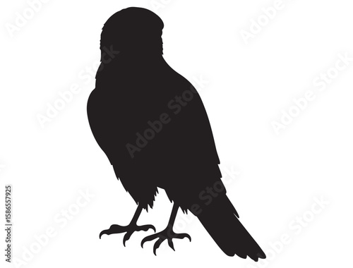 KESTREL BIRD SILHOUETTE