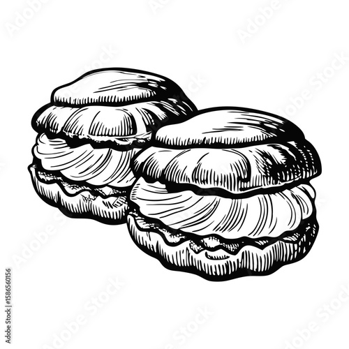 Illustration of profiteroles with cream, delicious dessert. Profiteroles with cream for menu, book illustration about cooking, food or pastry.