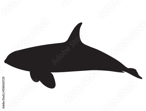 KILLER WHALE SILHOUETTE