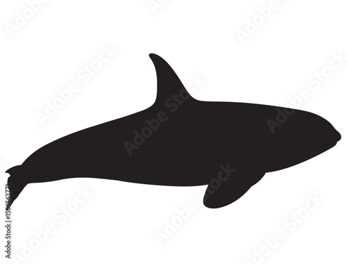 KILLER WHALE SILHOUETTE