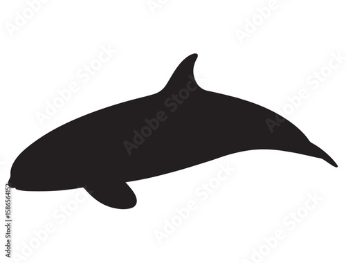 KILLER WHALE SILHOUETTE