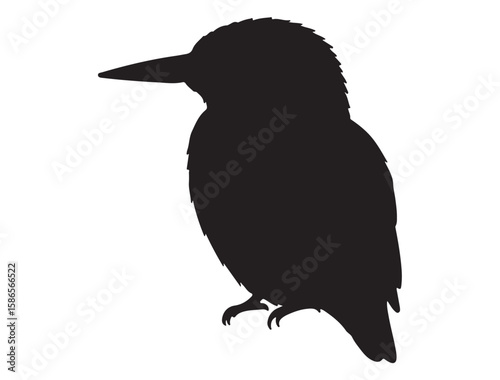 KINGFISHER SILHOUETTE