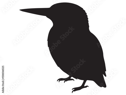 KINGFISHER SILHOUETTE