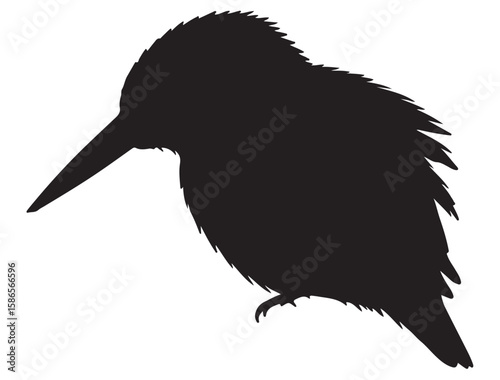 KINGFISHER SILHOUETTE