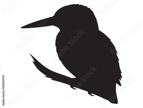 KINGFISHER SILHOUETTE