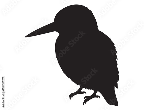 KINGFISHER SILHOUETTE
