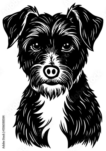 black vector illustrator dog