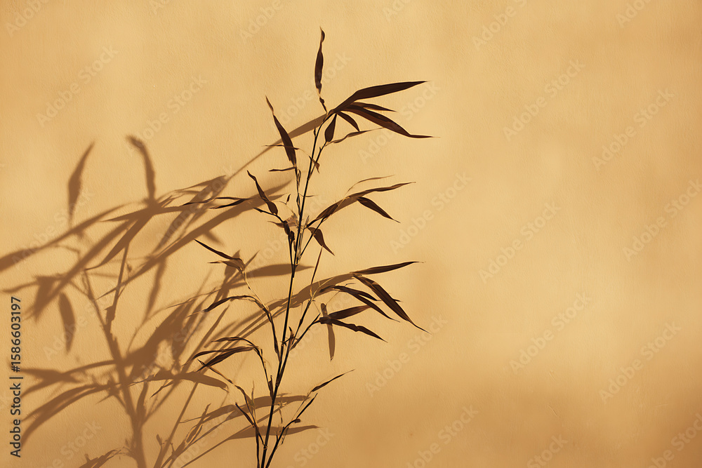 Obraz premium Tall Slender Bamboo Plant Casting Long Shadows on a Warm Brown Wall Minimalist Botanical Decor Background