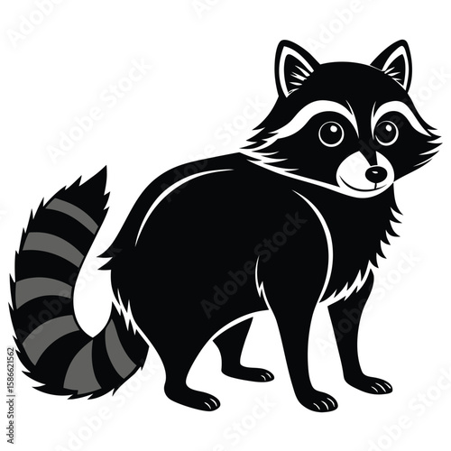  a raccoon in side view with bushy ringed tail and pointed face, standing pose with upright ears and arched back, minimalist vector illustration isolated on white background