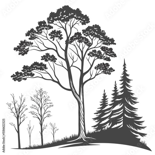 Illustration of a large deciduous tree with smaller bare trees and evergreen trees on a grassy hill