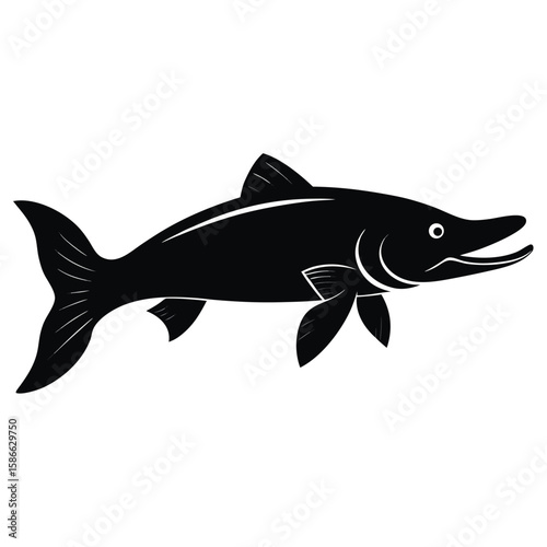  Pure black northern pike in side profile, detailed fins and long pointed snout, sharp teeth slightly visible, minimalist and aggressive pose on white background. 