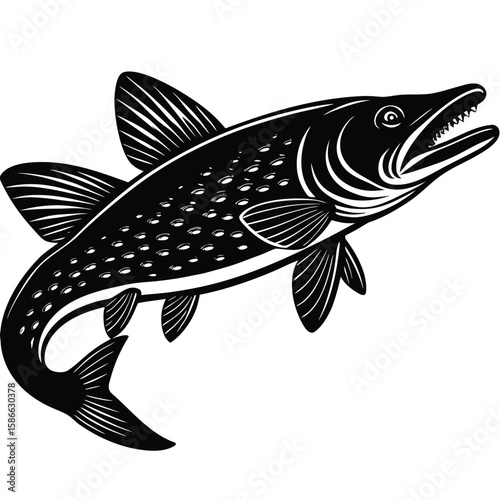  Pure black northern pike in side profile, detailed fins and long pointed snout, sharp teeth slightly visible, minimalist and aggressive pose on white background. 
