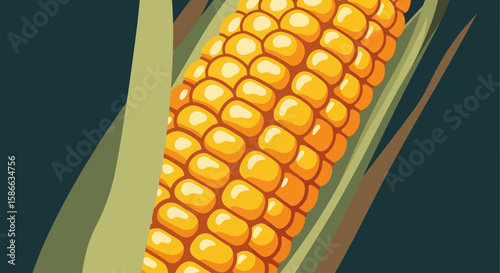 A ripe ear of corn, kernels gleaming, nestled within its protective husk.
