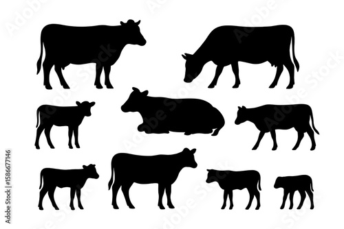 Cow silhouette vector set. Cattle icons collection. Farm animals, livestock graphics. Agriculture, dairy, beef concepts. Standing, grazing, lying cows and calves shapes.