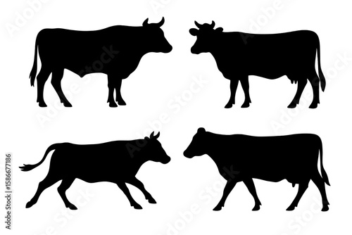 Set of 4 Cow Silhouette Vector Illustrations, Cattle Breeds, Black on White Background, Walking and Standing Poses, Farm Animal Graphics, Perfect for Ranch Branding, Logos, Decals, Livestock Design
