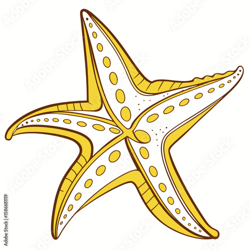 yellow star fish