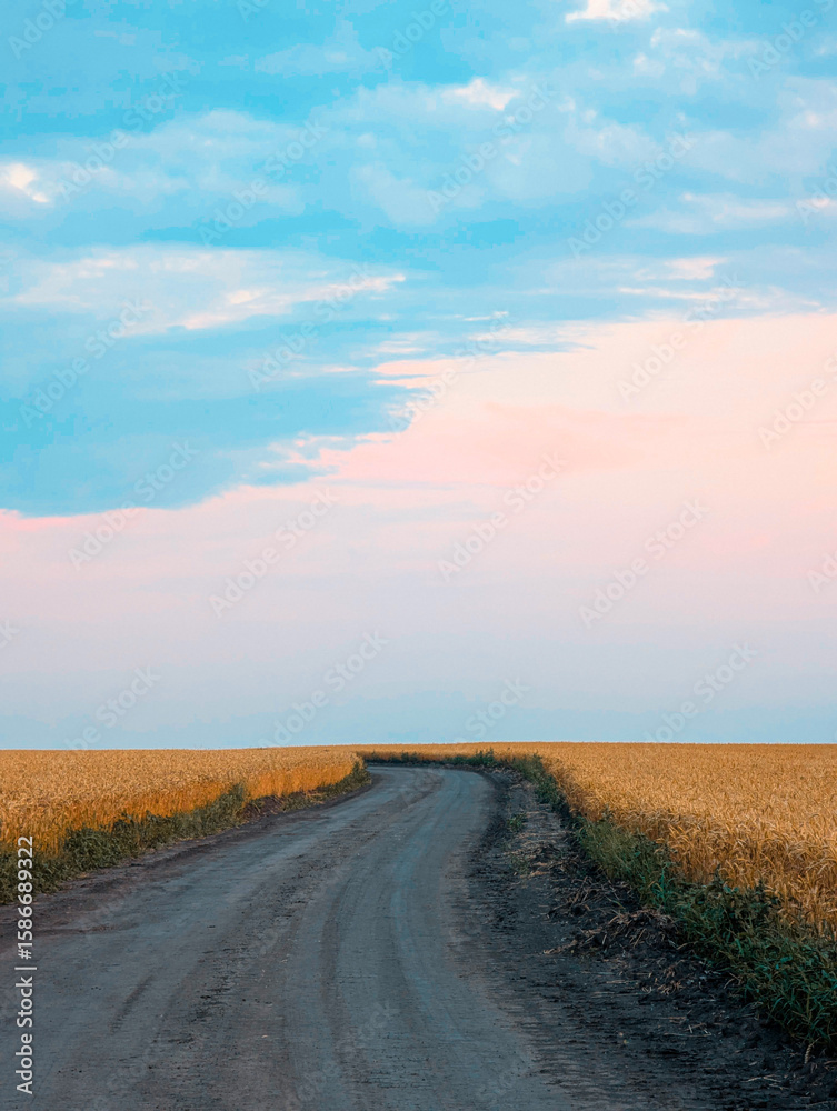 Fototapeta premium Dirt road into the distance in a wheat field in the summer evening. Clear sky without sun