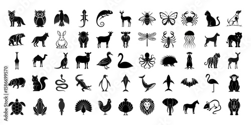 Collection of diverse animal silhouettes including mammals birds reptiles amphibians insects marine life and domestic animals displayed against a black background