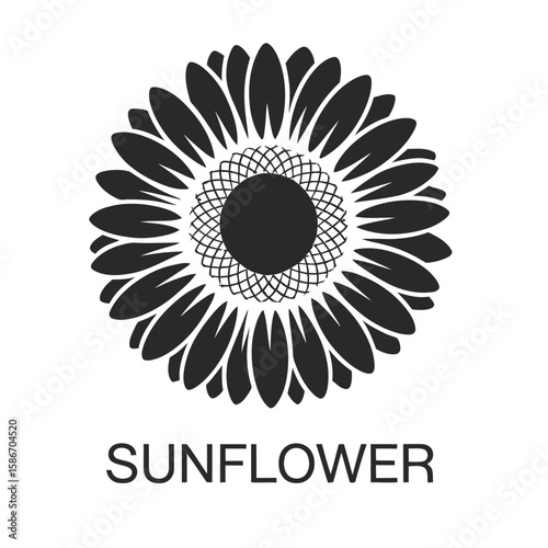 abstract flower logo