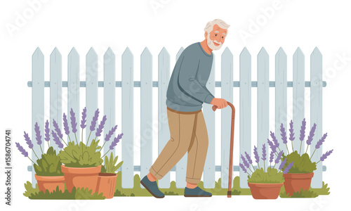 An elderly man with a cane walks in a garden with lavender plants and a white picket fence in the background.