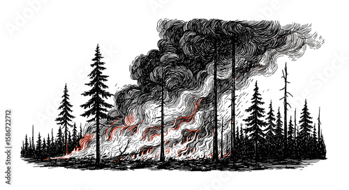 Ink sketch of a forest fire, hand-drawn illustration in vintage style, engraving or woodcut, SVG vector