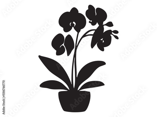 Black silhouette of potted orchid, isolated on white background, graphic illustration. concept of houseplant, floral decor, botany icon, gardening element, indoor greenery