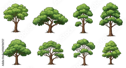 Set of Cartoon Trees Isolated on White
