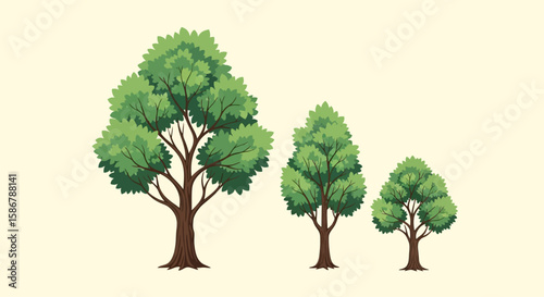 Three Stylized Trees of Varying Sizes Illustration