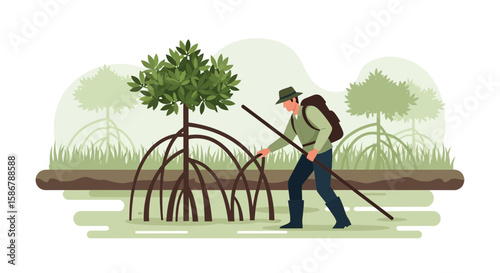 Mangrove Conservationist Exploring Root Systems In A Protected Ecosystem Illustration