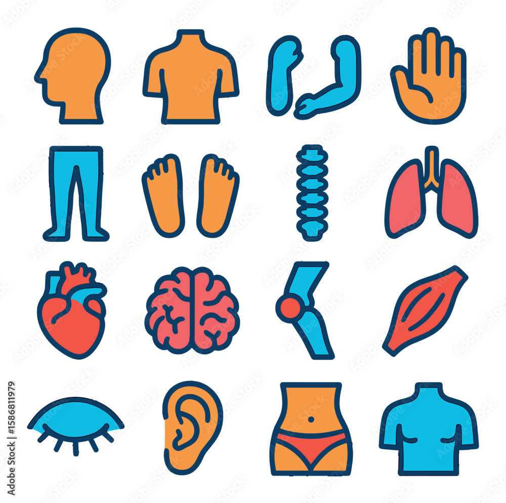 Fototapeta premium Body parts icon collection. vibrant body, head, heart, brain, arm, leg, linear