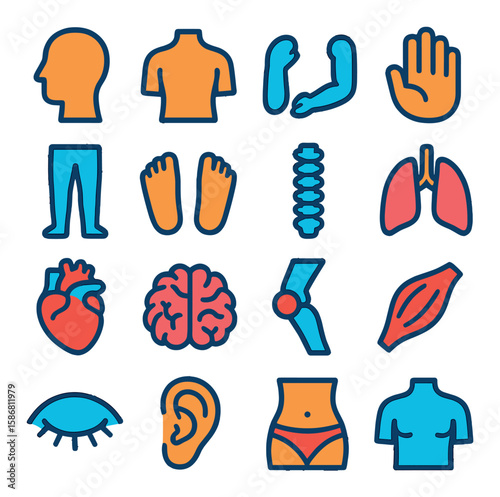 Body parts icon collection. vibrant body, head, heart, brain, arm, leg, linear
