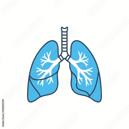 Illustration of human lungs with trachea in blue and white on white.