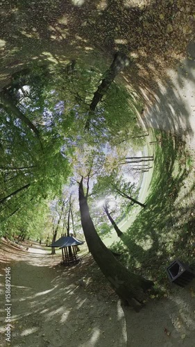 Immerse yourself in the beauty of nature with this 360-degree video of a tranquil walk in the woods. The lush green trees and the soft sunlight create a calming and peaceful atmosphere. The video is