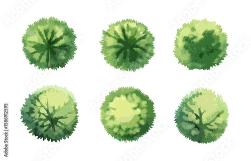 Watercolor Top View Trees Set for Landscape Architecture and Garden Planning.