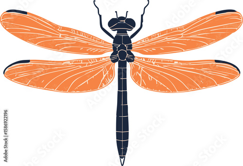 fullshot_of_a_dragonfly_icon_the_background_color_should_be_whi