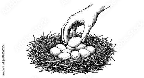 Farmer’s Hand Taking Chicken Egg from Nest – Hand Drawn doodle Ink Sketch black and white illustration vector, Engraving Style or Woodcut SVG