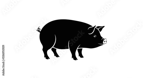 Vector black pig vector illustration farm animal swine livestock pork meat agriculture design isolated drawing art