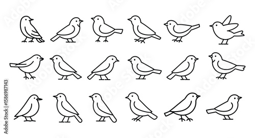 Detailed Bird Line Icons Set, Various Hand-Drawn Avian Animal Symbols