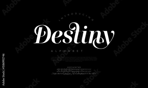 Elegant serif font with stylish swashes, perfect for wedding, luxury, or editorial design