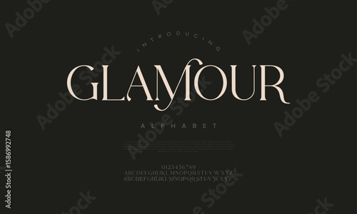 Modern serif font with a fashionable flair, perfect for branding and magazine covers