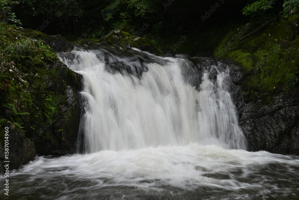 Fototapeta premium 激しい川の流れ