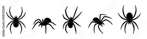 Set of black spider silhouettes in various positions. The collection features simple flat vector shapes with eight-legged arachnids depicted in different angles and movements