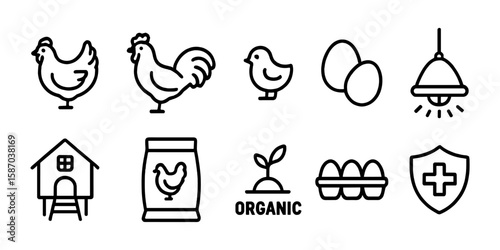 Outline icons representing poultry farming and egg production. Includes chickens, rooster, chick, eggs, lamp, coop, feed bag, organic label, egg tray, and health shield symbol.