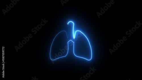 The appearance of the neon glowing symbol lungs. neon human Lungs icon animation. Human respiratory system, lungs, anatomy, lungs icon with black.neon human Lung and kidney icon animation. Glowing.4k