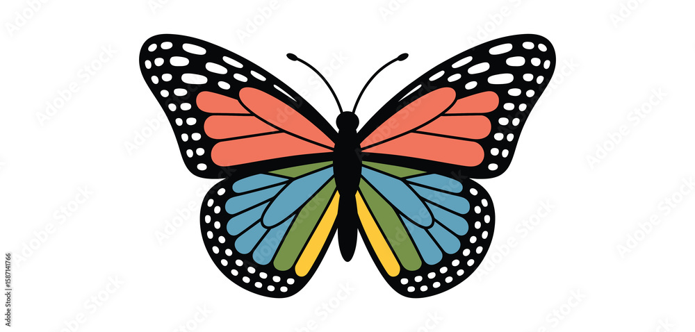 Obraz premium Colorful butterfly with black and white spots on wings isolated on white background