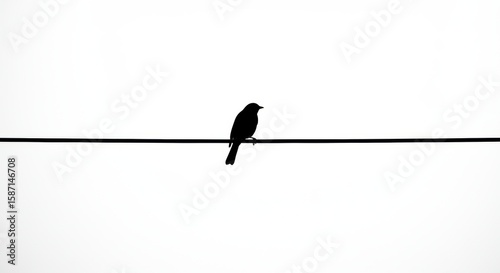 Silhouette of a bird perched on a wire against a stark white backdrop
