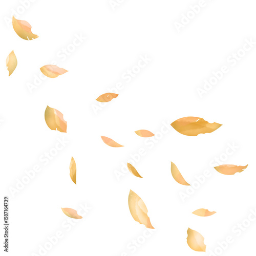 流れるように舞い落ちる枯葉