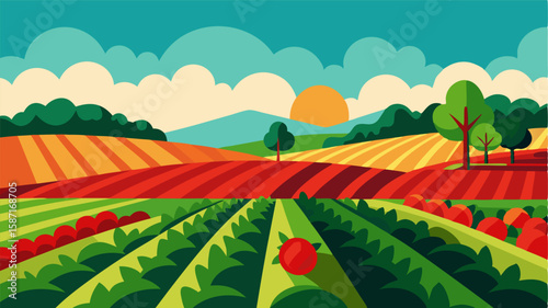 The rolling farmlands cover the horizon in a patchwork of crops from bright green lettuce fields to deep red tomato bushes creating a feast for the eyes.