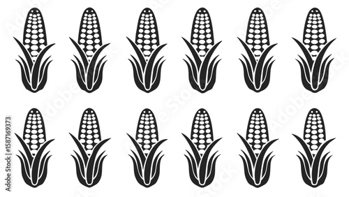 Black corn stalks with leaves ears kernels