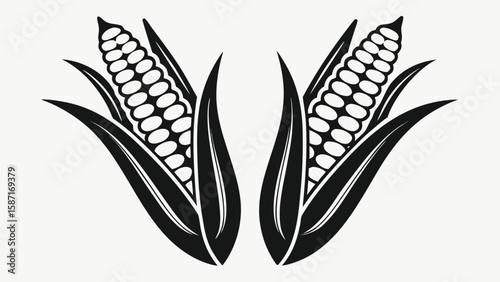 Black corn stalks with leaves maize agriculture